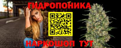 прущие грибы Когалым