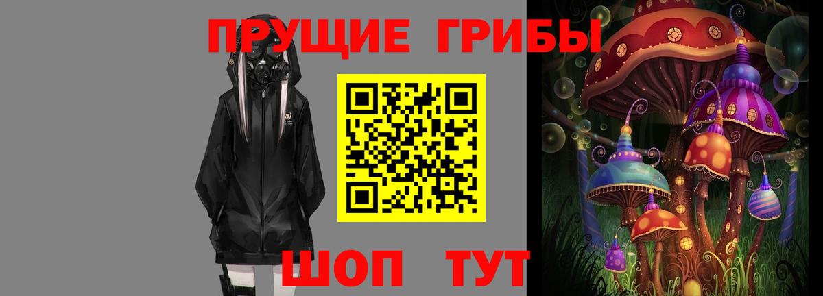 Отрадное  Галлюциногенные грибы Psilocybine cubensis  Вход с VPN 